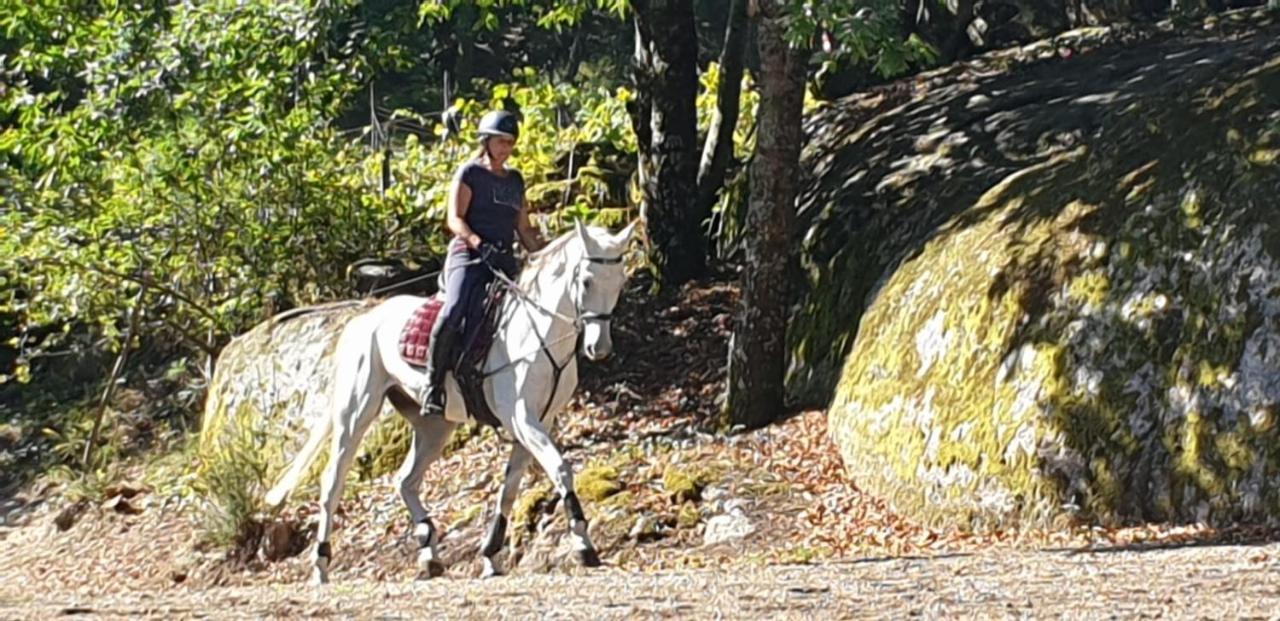 ヴィエイラ・ド・ミーニョQuinta Da Quintaアパートメント エクステリア 写真