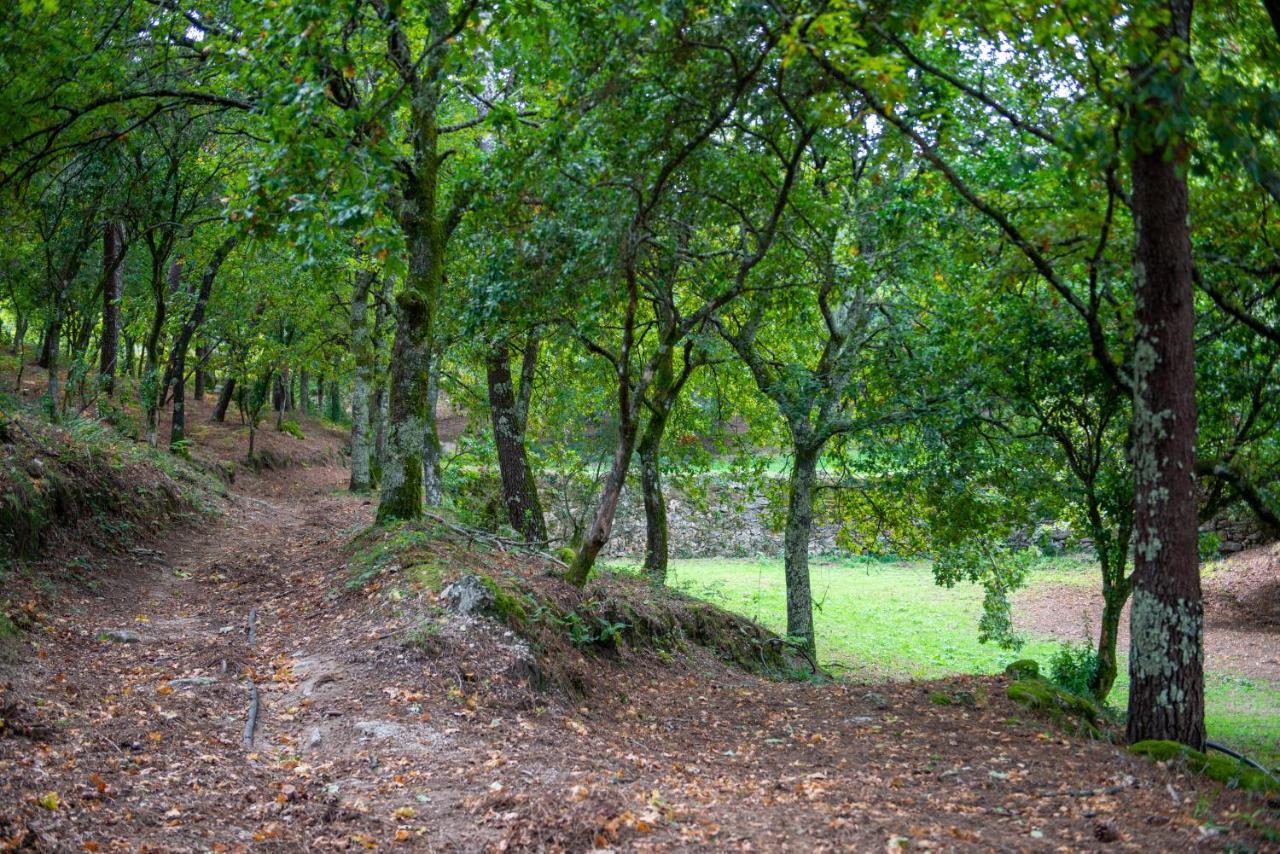 ヴィエイラ・ド・ミーニョQuinta Da Quintaアパートメント エクステリア 写真